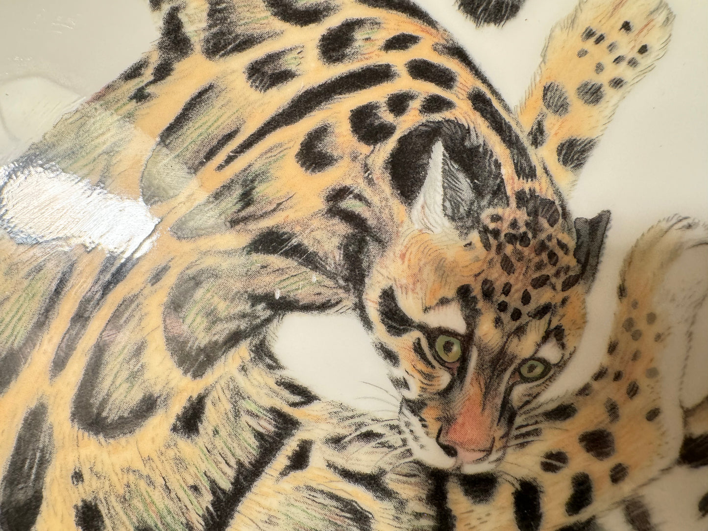 Wedgewood Safari Clouded Leopard Porcelain Plate | Earthlife Rainforest Collection | Vintage Retro | Collectible | Made in England |