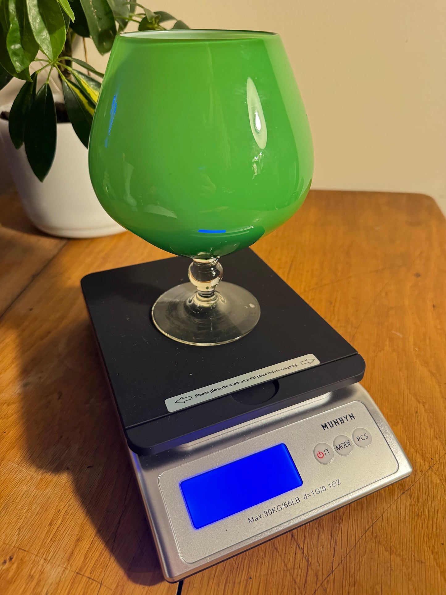 Cased Green Glass Brandy Snifter | Vintage Retro | Unusual Unique Quirky |