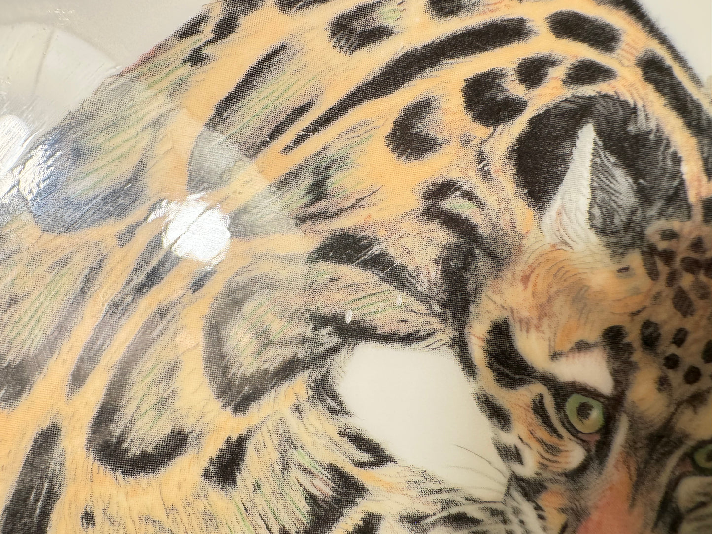 Wedgewood Safari Clouded Leopard Porcelain Plate | Earthlife Rainforest Collection | Vintage Retro | Collectible | Made in England |