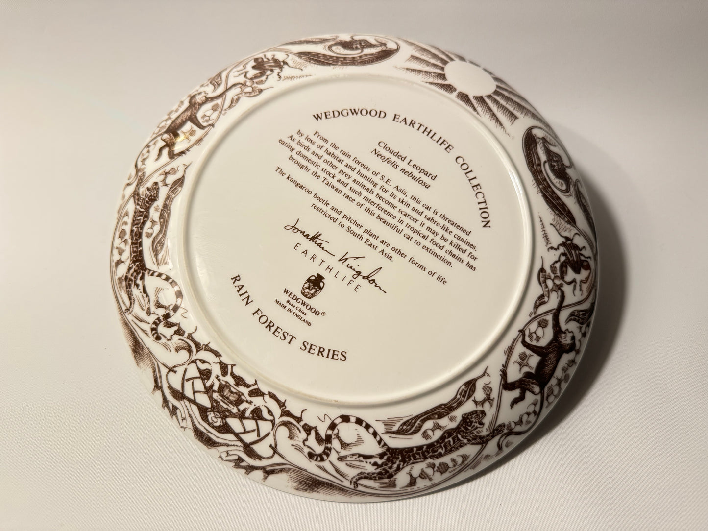 Wedgewood Safari Clouded Leopard Porcelain Plate | Earthlife Rainforest Collection | Vintage Retro | Collectible | Made in England |