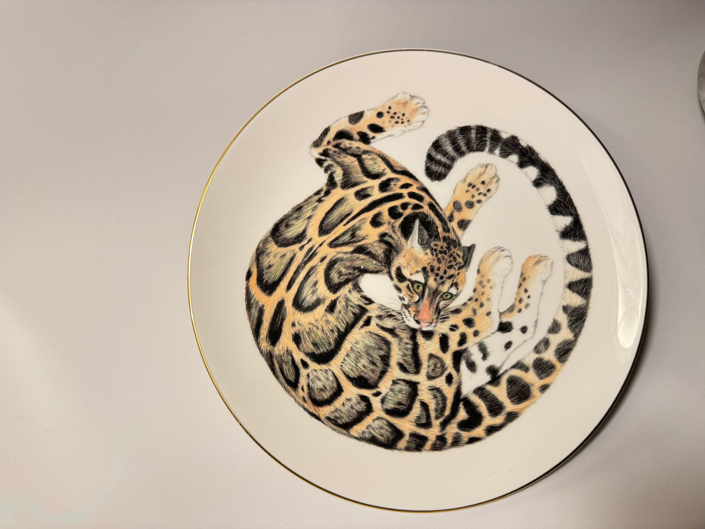 Wedgewood Safari Clouded Leopard Porcelain Plate | Earthlife Rainforest Collection | Vintage Retro | Collectible | Made in England |