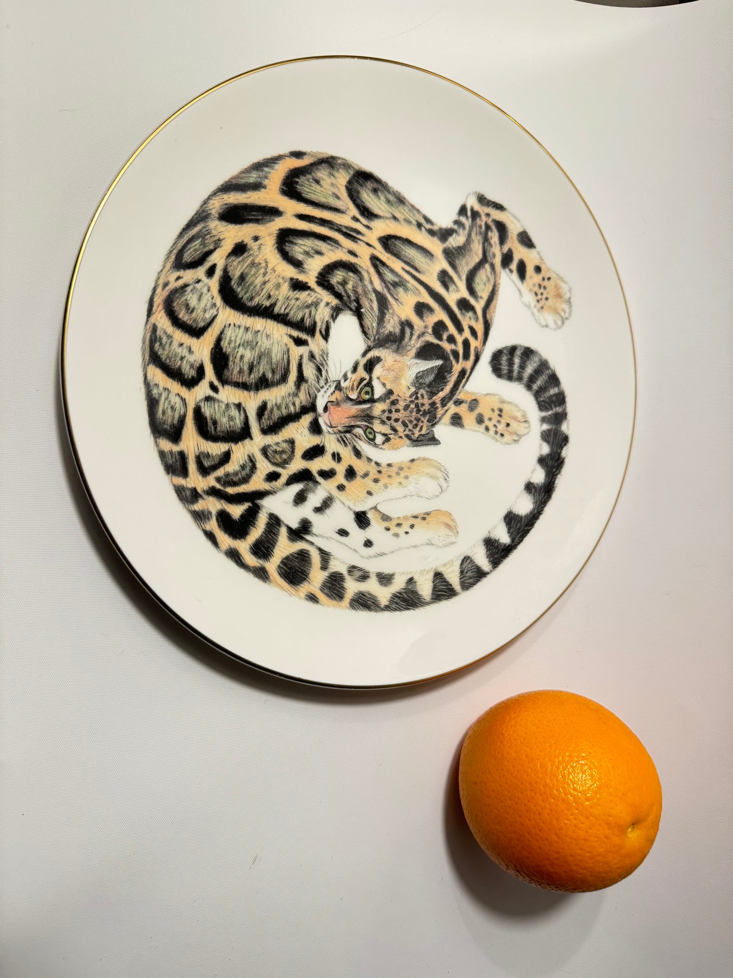 Wedgewood Safari Clouded Leopard Porcelain Plate | Earthlife Rainforest Collection | Vintage Retro | Collectible | Made in England |