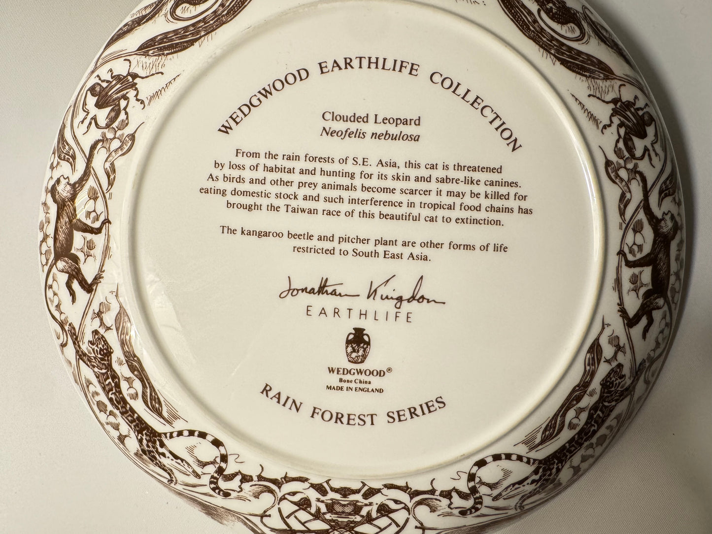 Wedgewood Safari Clouded Leopard Porcelain Plate | Earthlife Rainforest Collection | Vintage Retro | Collectible | Made in England |